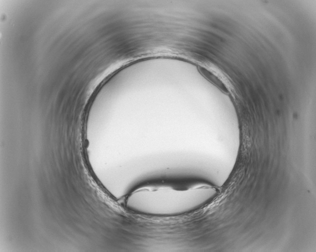 X0000086881142200705141404