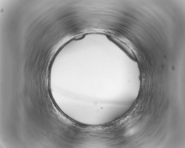 X0000086881143200705141404