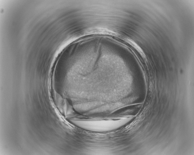 X0000086881144200705141404