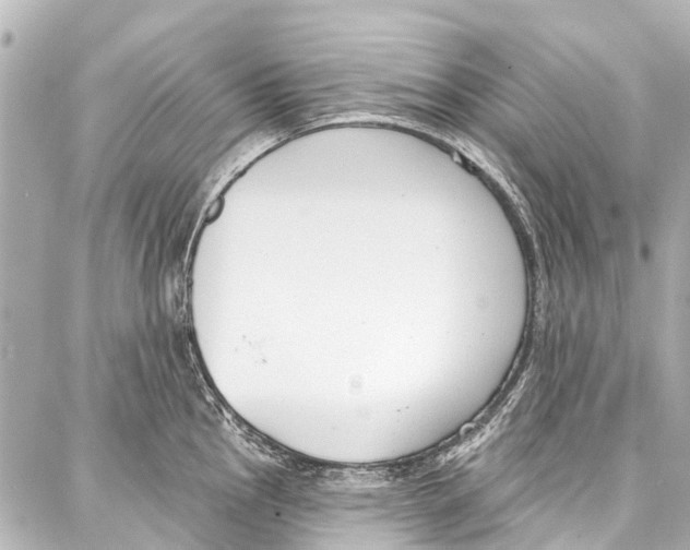 X0000086881145200705141404