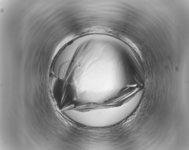 X0000086881146200705141404