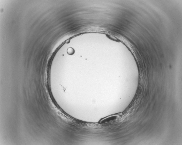 X0000086881147200705141404