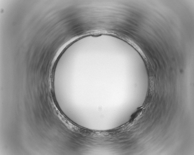 X0000086881148200705141404