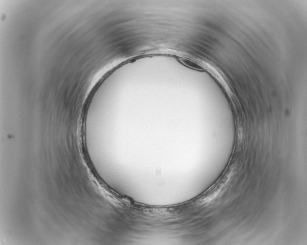 X0000086881149200705141404