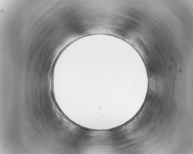 X0000086881150200705141404