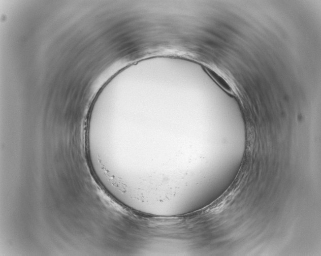 X0000086881151200705141404