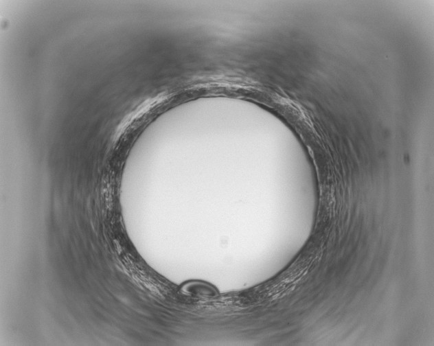 X0000086881159200705141403