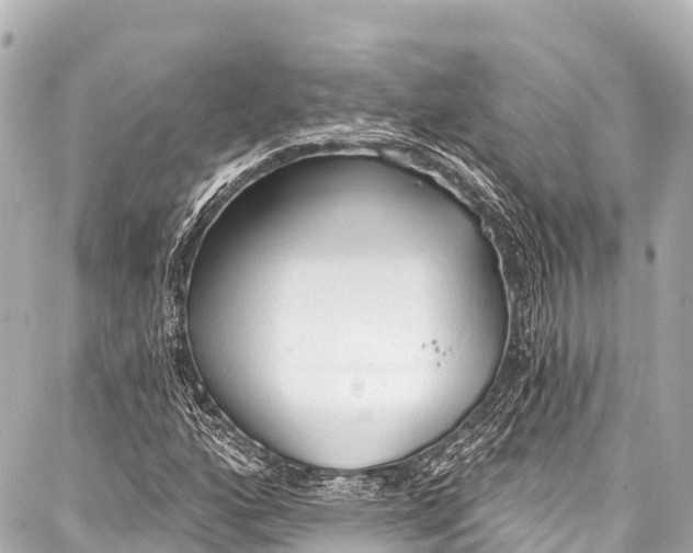 X0000086881160200705141403