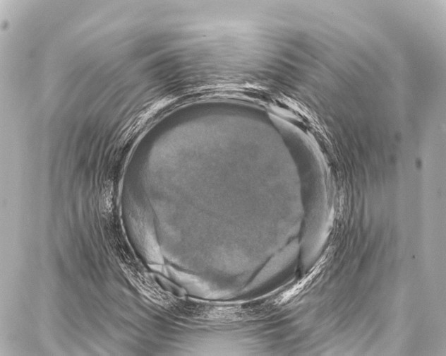 X0000086881161200705141403