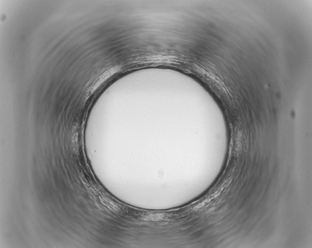 X0000086881162200705141403