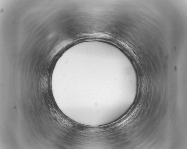 X0000086881163200705141403