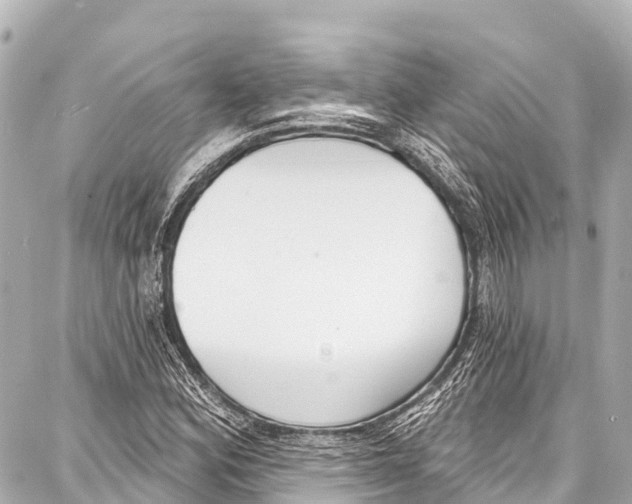 X0000086881164200705141403