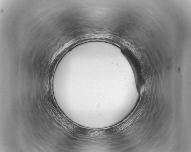 X0000086881165200705141403