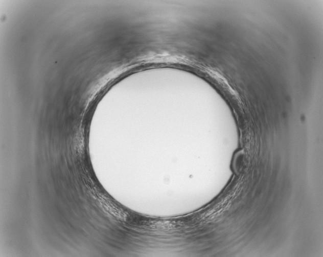 X0000086881167200705141403