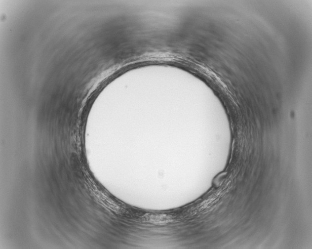 X0000086881168200705141403