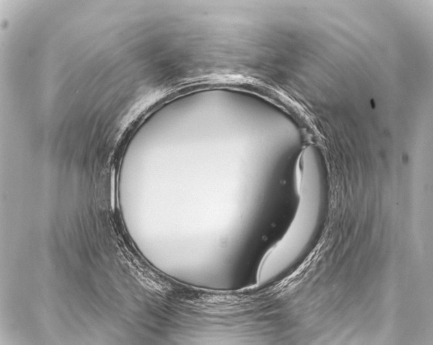 X0000086881171200705141403