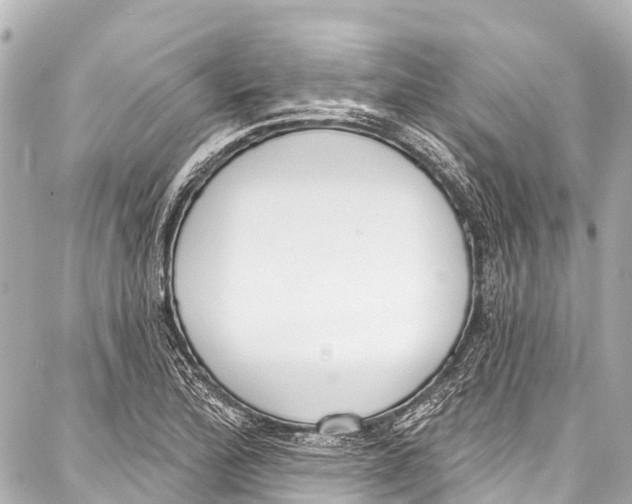 X0000086881172200705141403