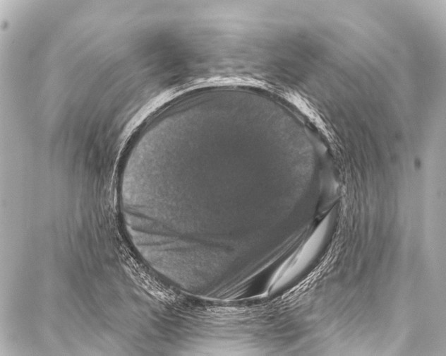 X0000086881173200705141403