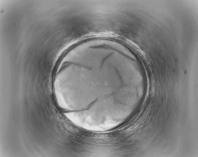 X0000086881174200705141403