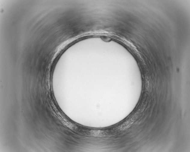 X0000086881176200705141403