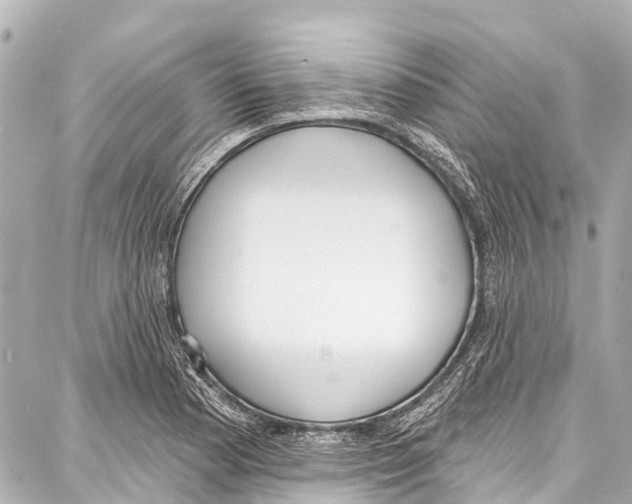 X0000086881177200705141403