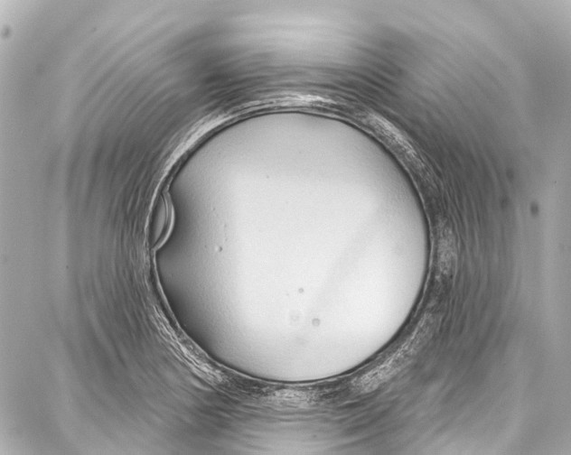 X0000086881178200705141403