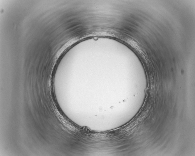 X0000086881181200705141403