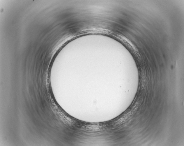 X0000086881182200705141403