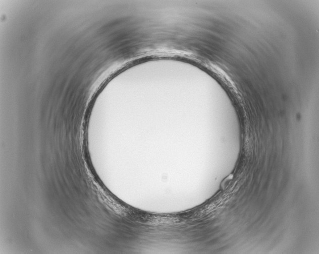 X0000086881183200705141403