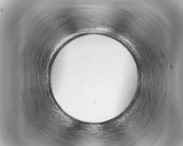 X0000086881184200705141403