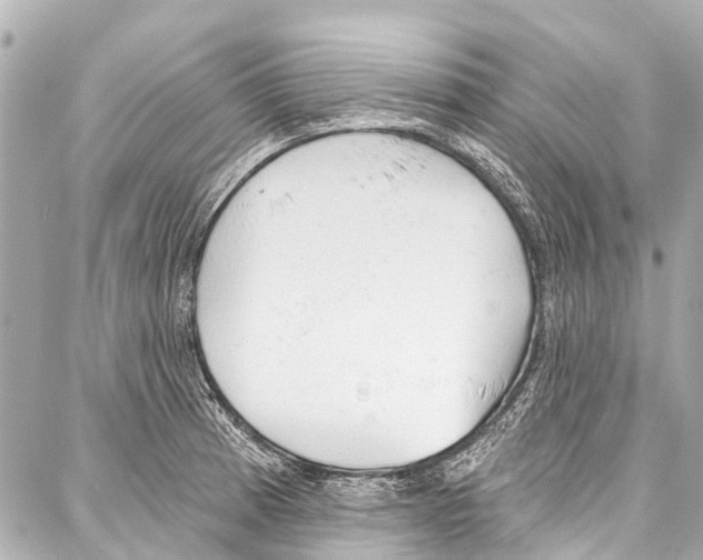 X0000086881185200705141403