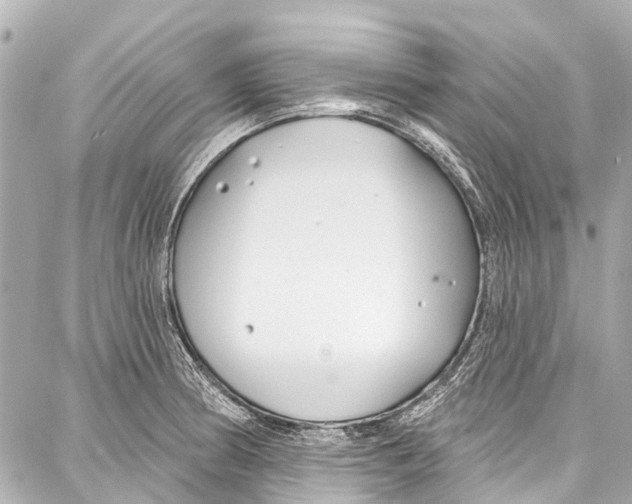 X0000086881186200705141403