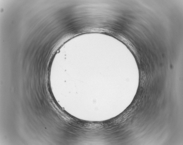 X0000086881187200705141402