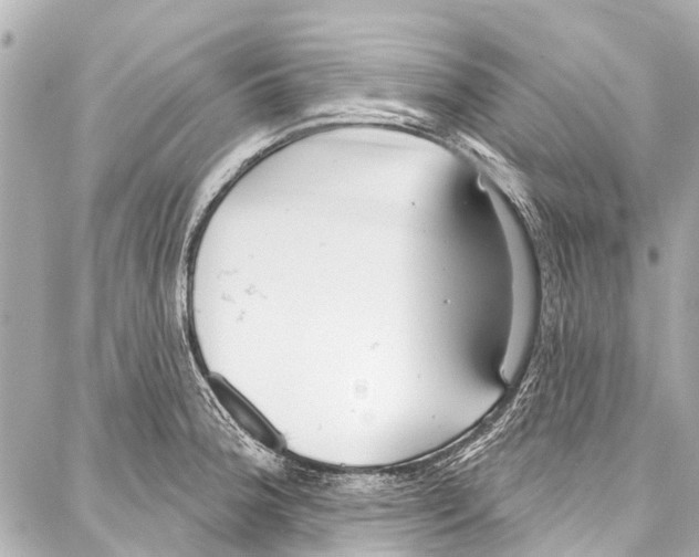 X0000086881188200705141402