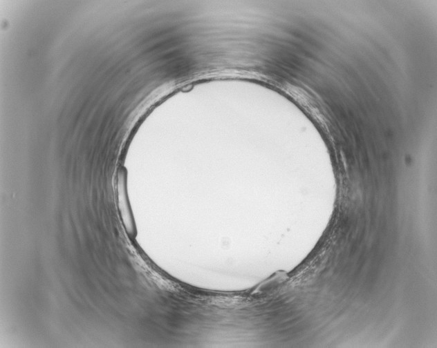 X0000086881189200705141402