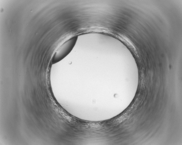 X0000086881190200705141402