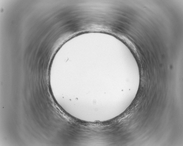 X0000086881191200705141402