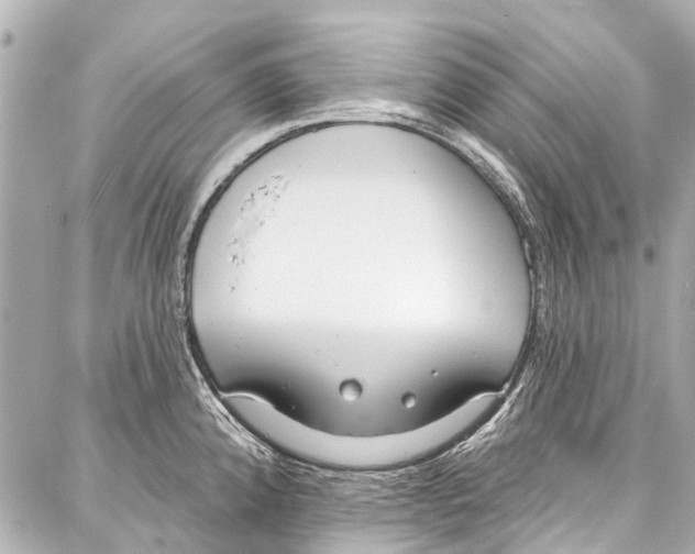 X0000086881192200705141402