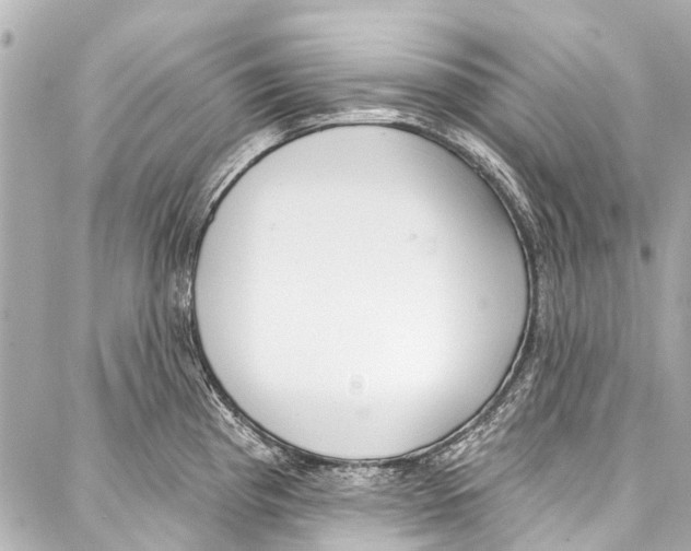 X0000086881193200705141402