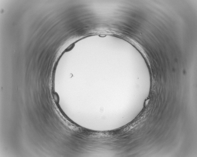 X0000086881195200705141402