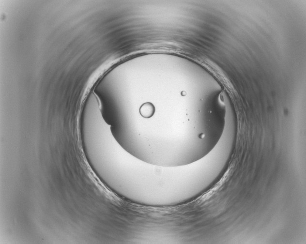 X0000086881196200705141402