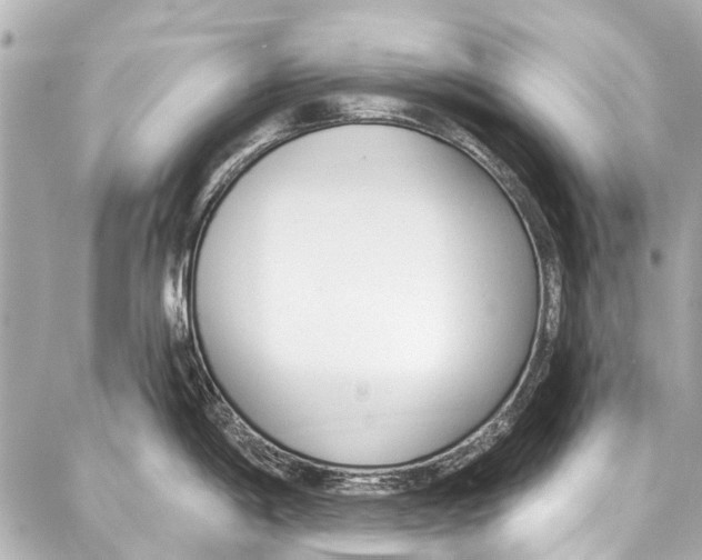 X0000086881198200705141402