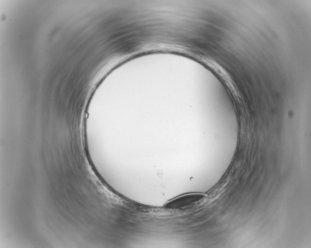 X0000086881199200705141402