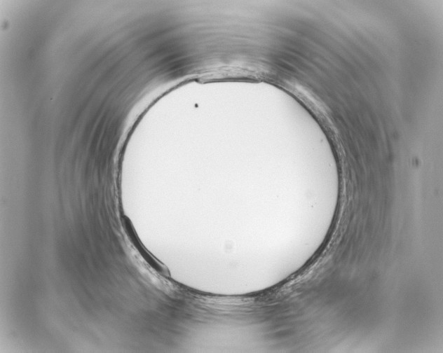 X0000086881200200705141402