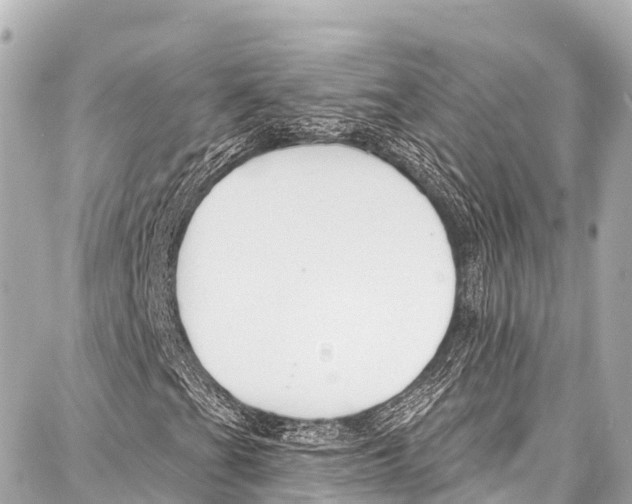 X0000086881201200705141401