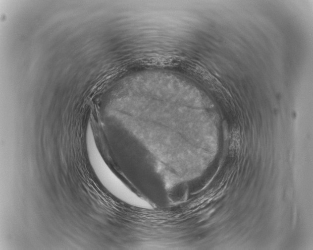 X0000086881202200705141402