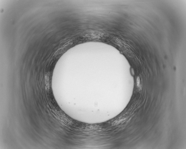 X0000086881203200705141402