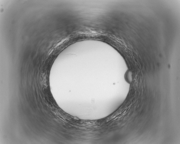 X0000086881205200705141402