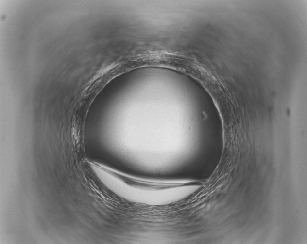 X0000086881206200705141402