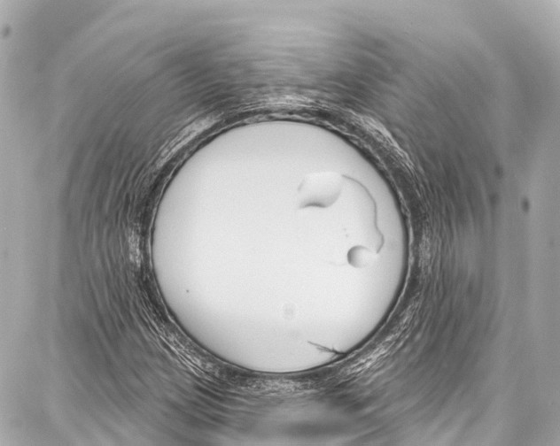 X0000086881209200705141402